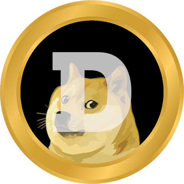 Dogecoin Payments Accepted in Ireland