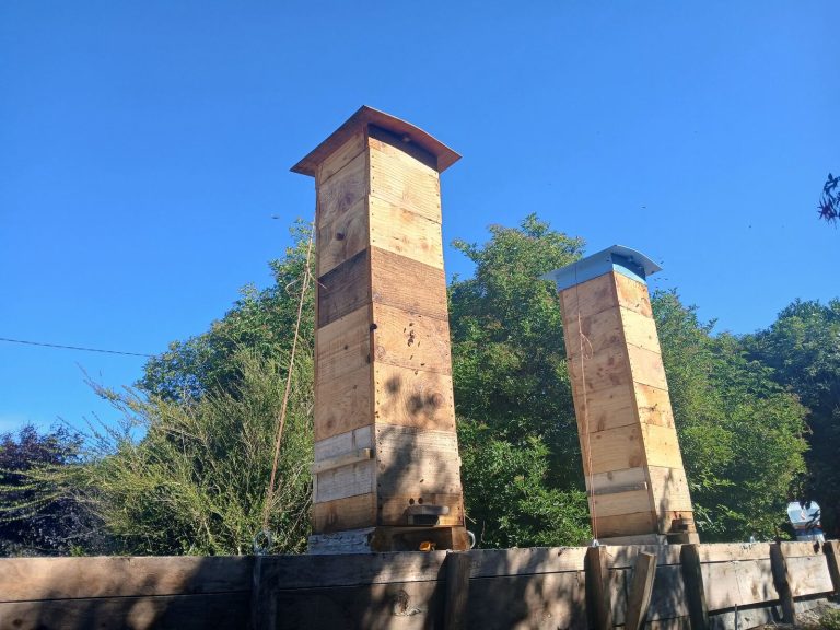 Two tall Warré hives against a blue sky at the Boglands apiary