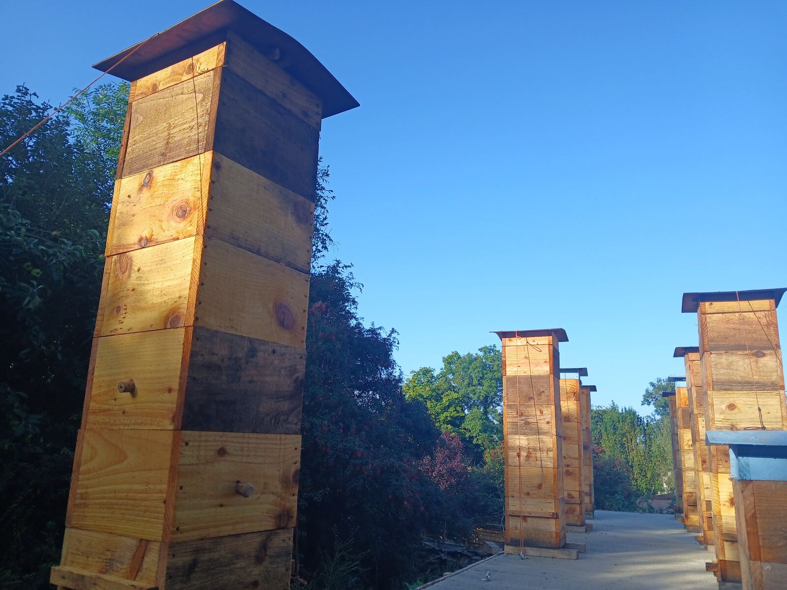 Row of Warré hive towers at the Boglands apiary
