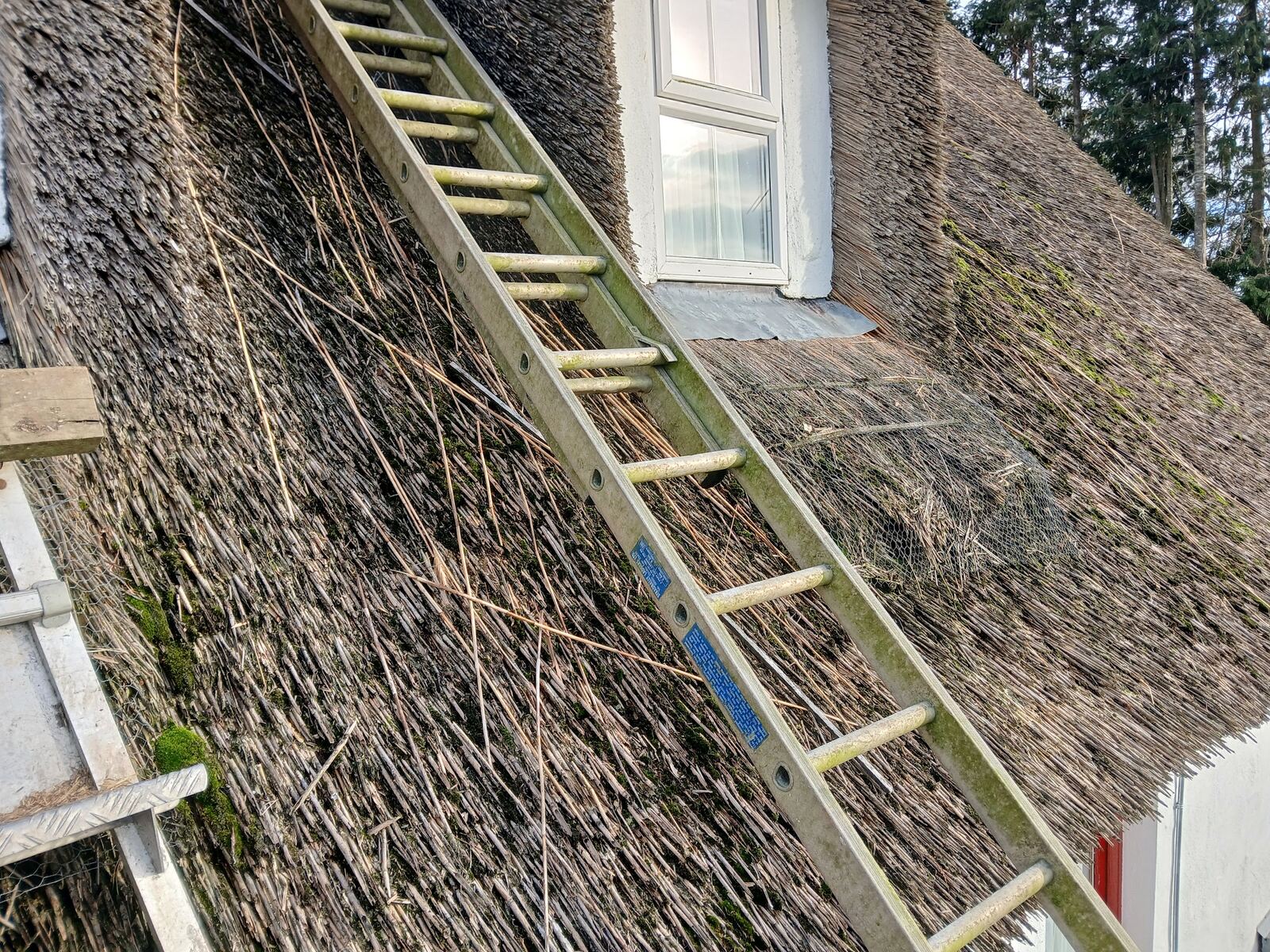 Water reed thatching in progress by Mike, Borrisokane