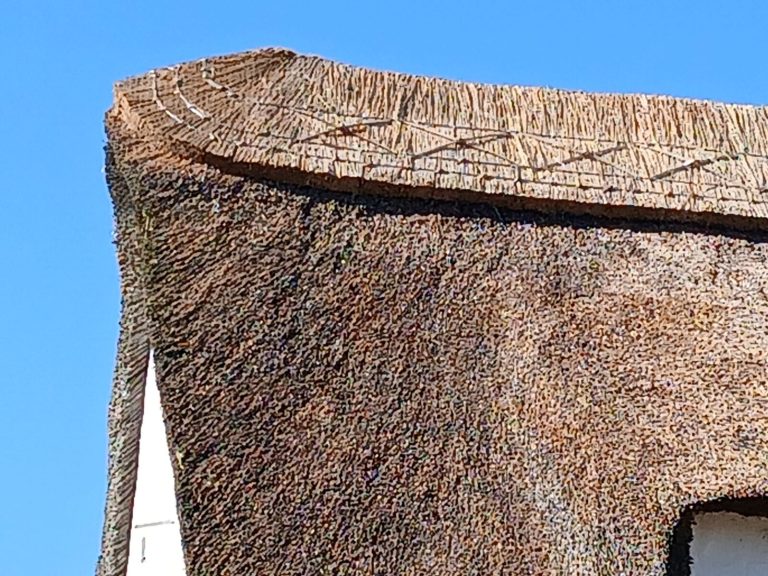 Water reed ridge detail by Mike, Borrisokane